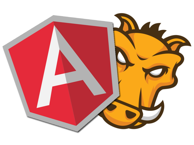 Angular Image