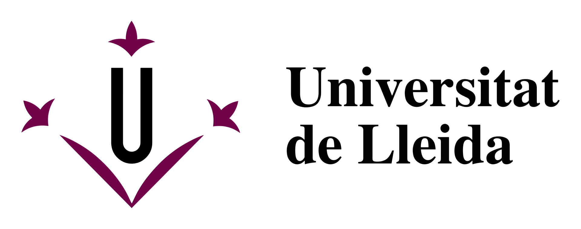 Universitat de Lleida Logo