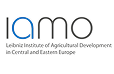 lamo logo