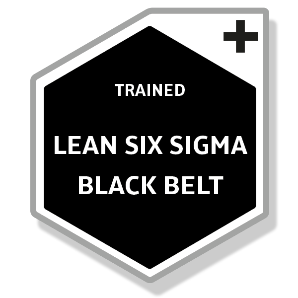 Lean Six Sigma Black Belt (ICYB) Logo