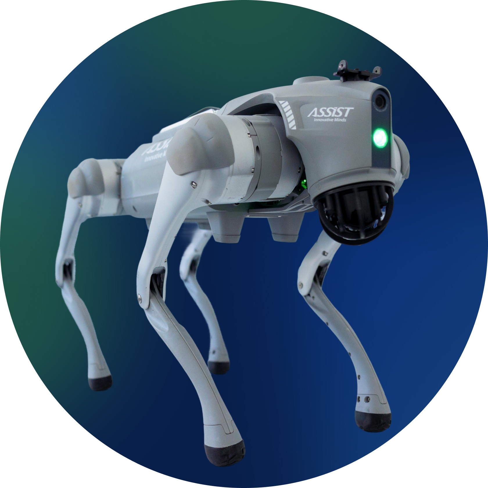 Robot dog