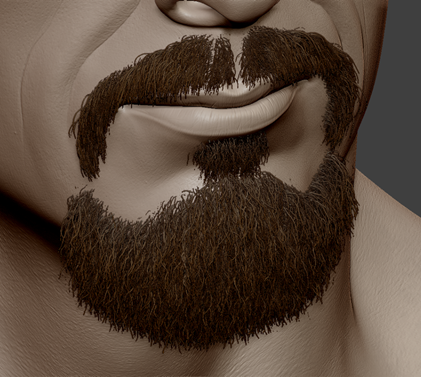 Beard details