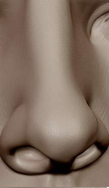 nose details