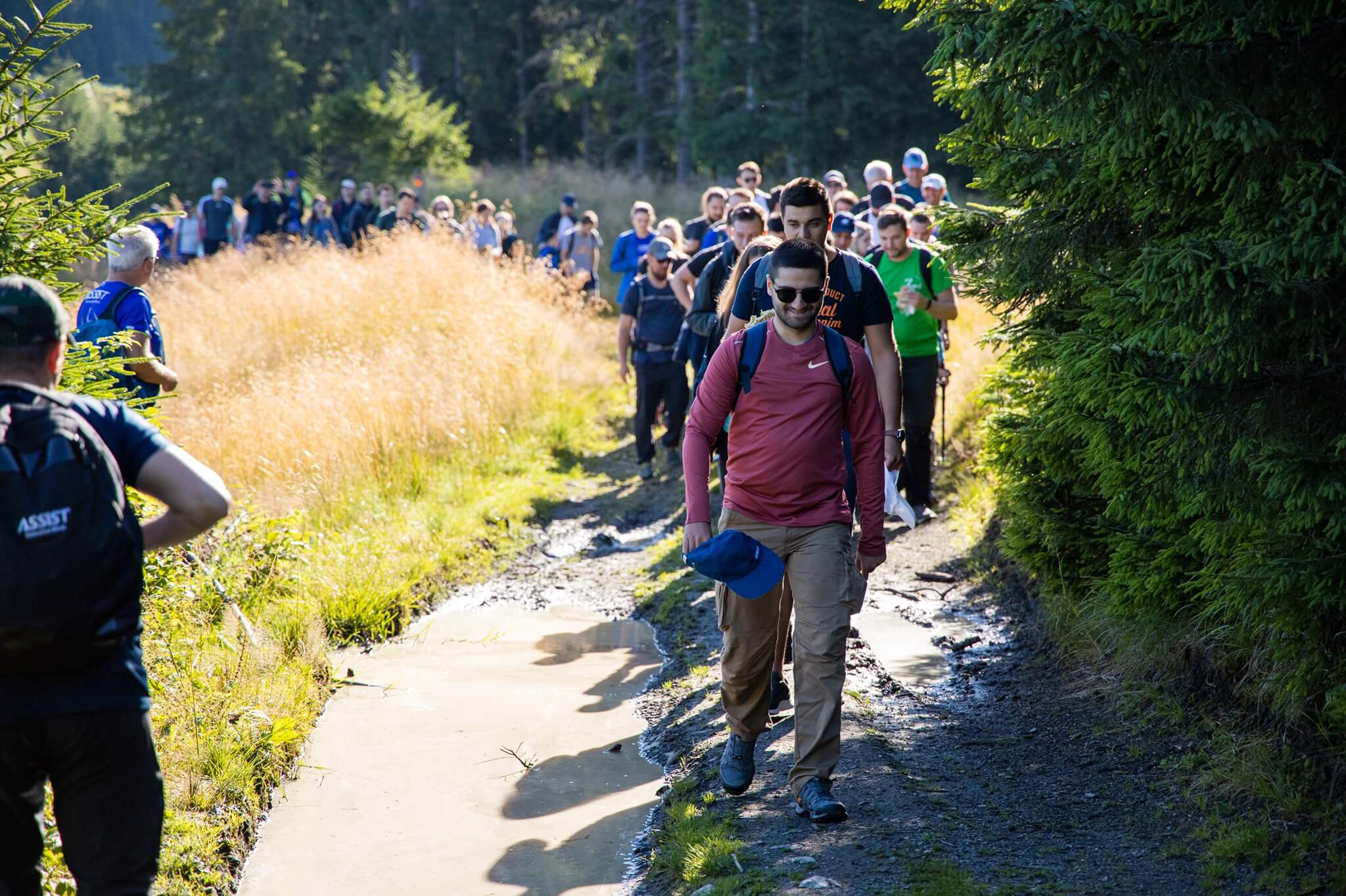 ASSIST Software team hiking