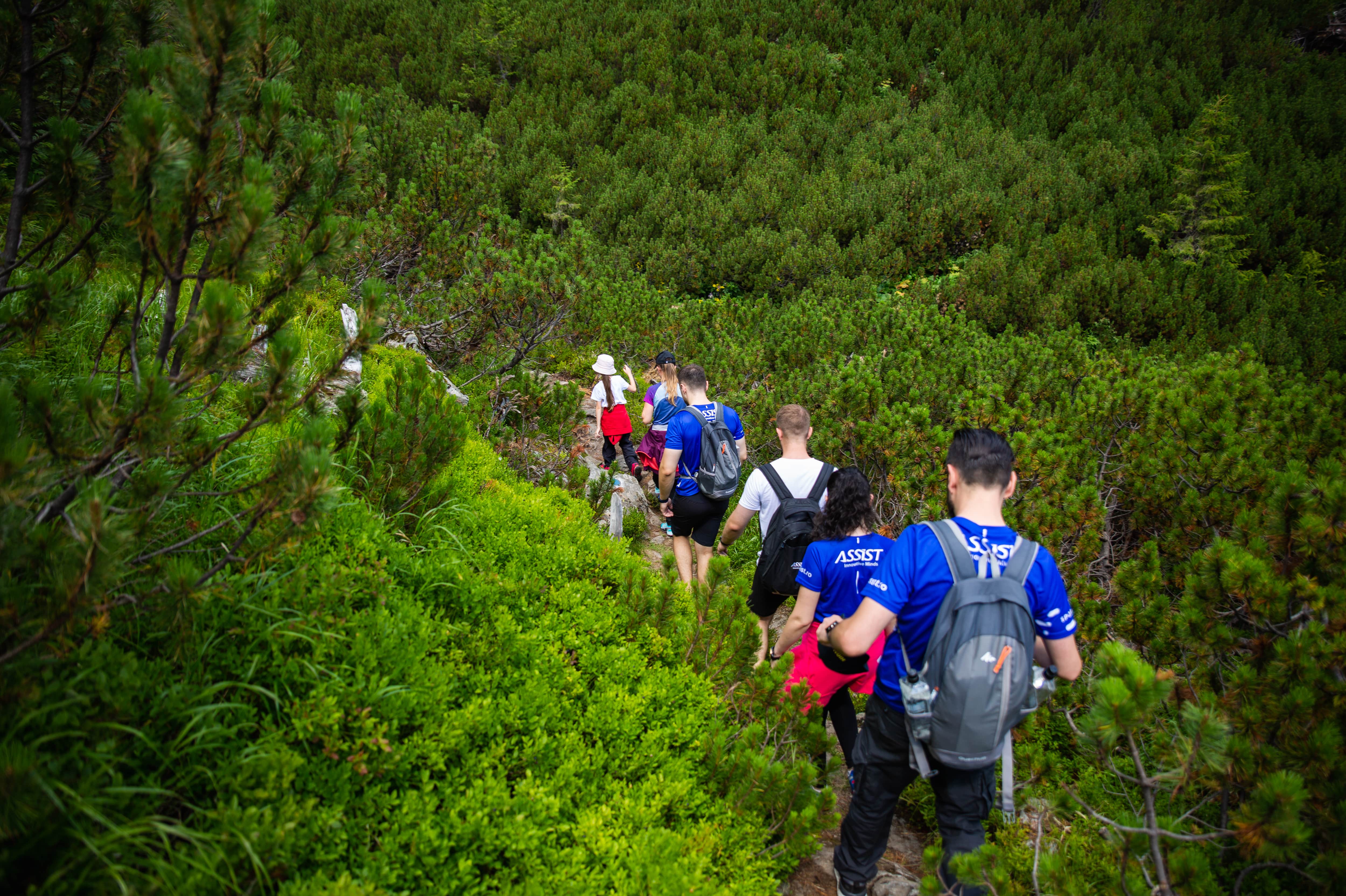 ASSIST Hiking Day - a memorable adventure to Lala Lakes and Ineu Peak - ASSIST Software - Suceava