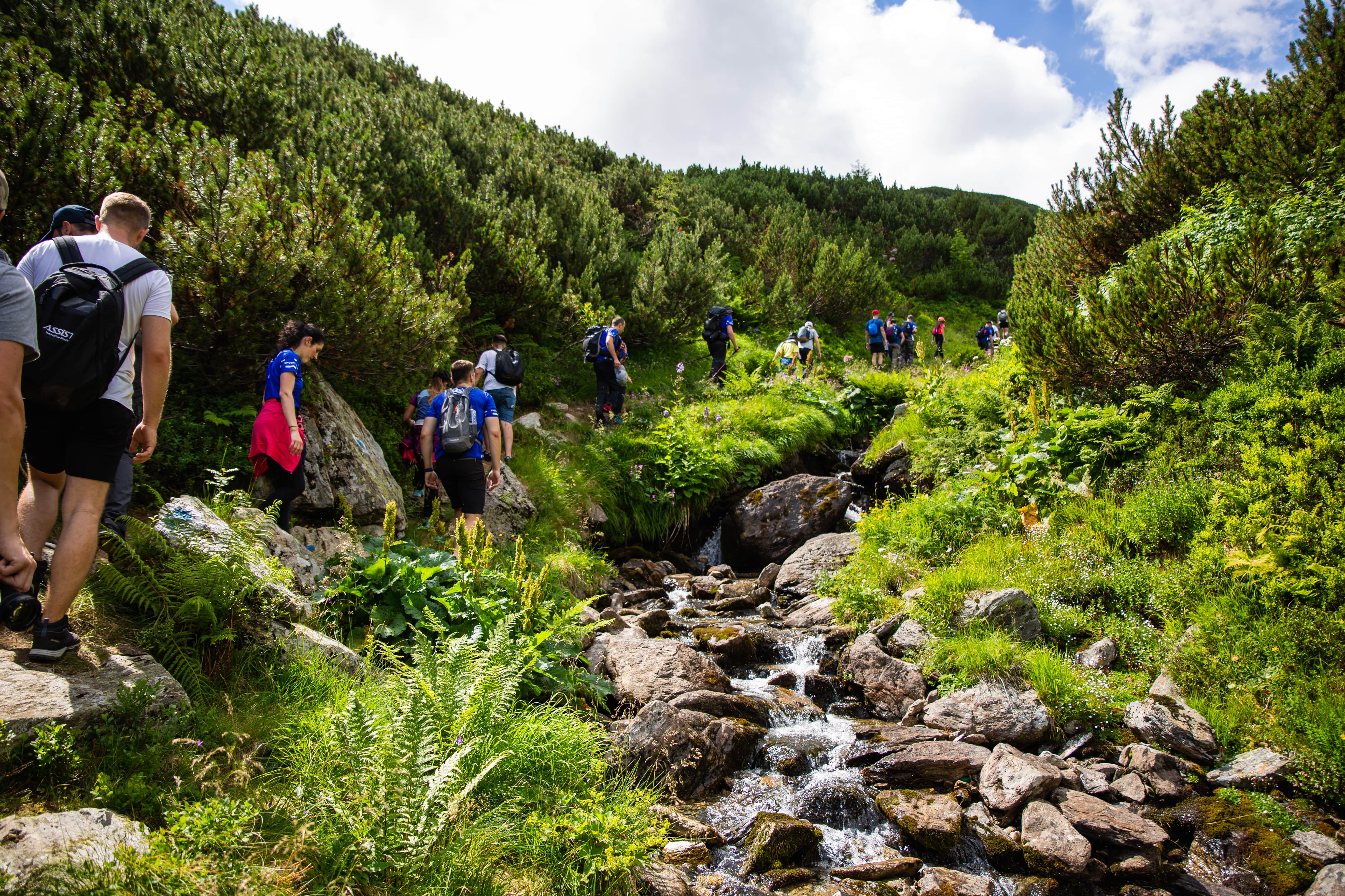 ASSIST Hiking Day - a memorable adventure to Lala Lakes and Ineu Peak - ASSIST Software - Suceava