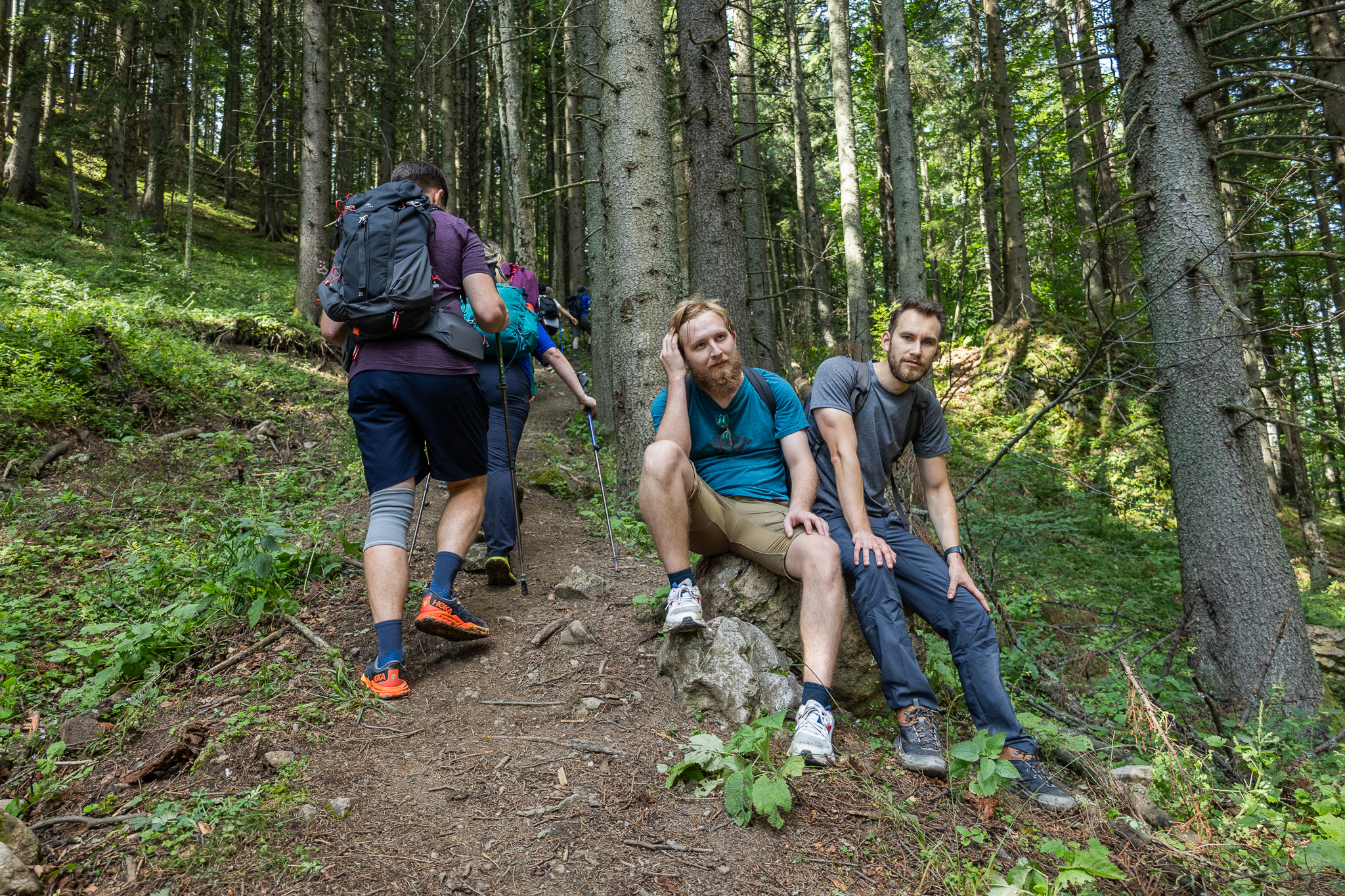  ASSIST Hiking Day 2024 From The Devil s Mill to Rarau-Adrian Ianovici-ASSIST Software_10
