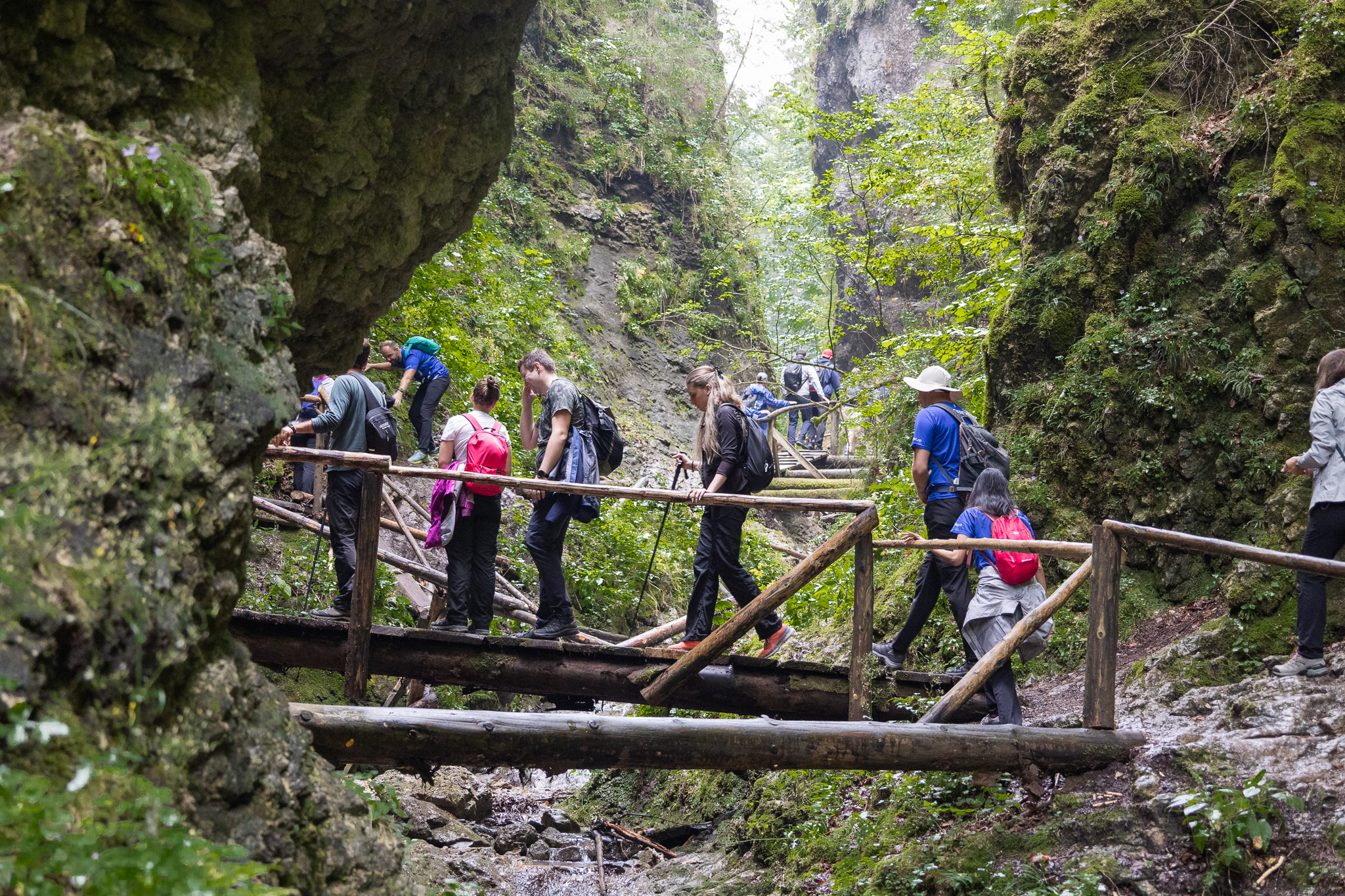  ASSIST Hiking Day 2024 From The Devil s Mill to Rarau-Adrian Ianovici-ASSIST Software_7