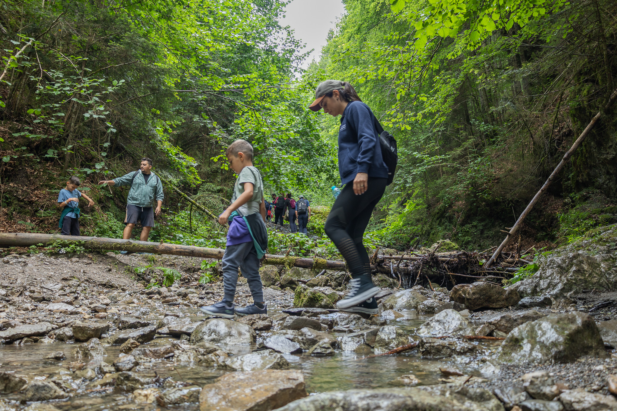  ASSIST Hiking Day 2024 From The Devil s Mill to Rarau-Adrian Ianovici-ASSIST Software_8
