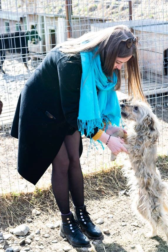 ASSIST Software volunteers playing with dogs from "Casa lui Patrocle" Animal Rescue Shelter