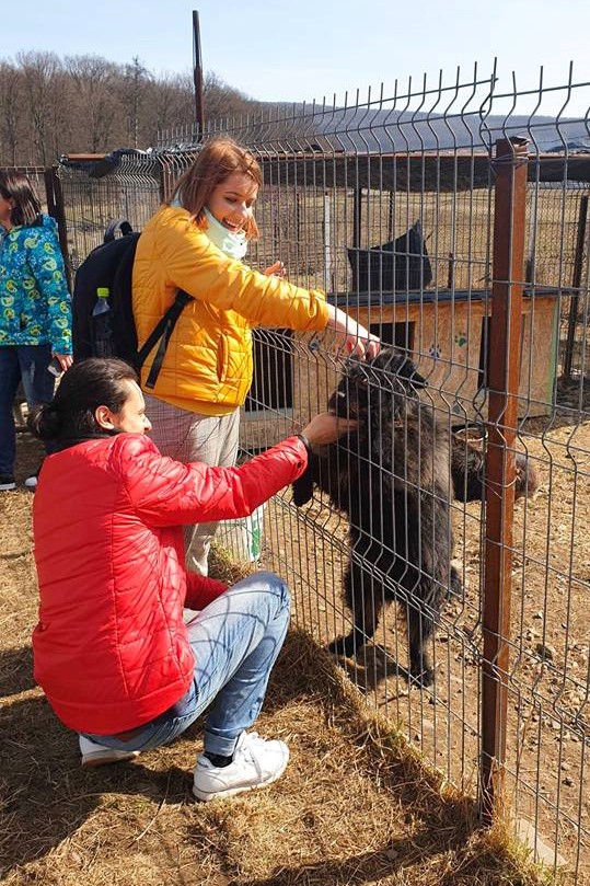 ASSIST Software petting dogs from Animal Rescue Shelter