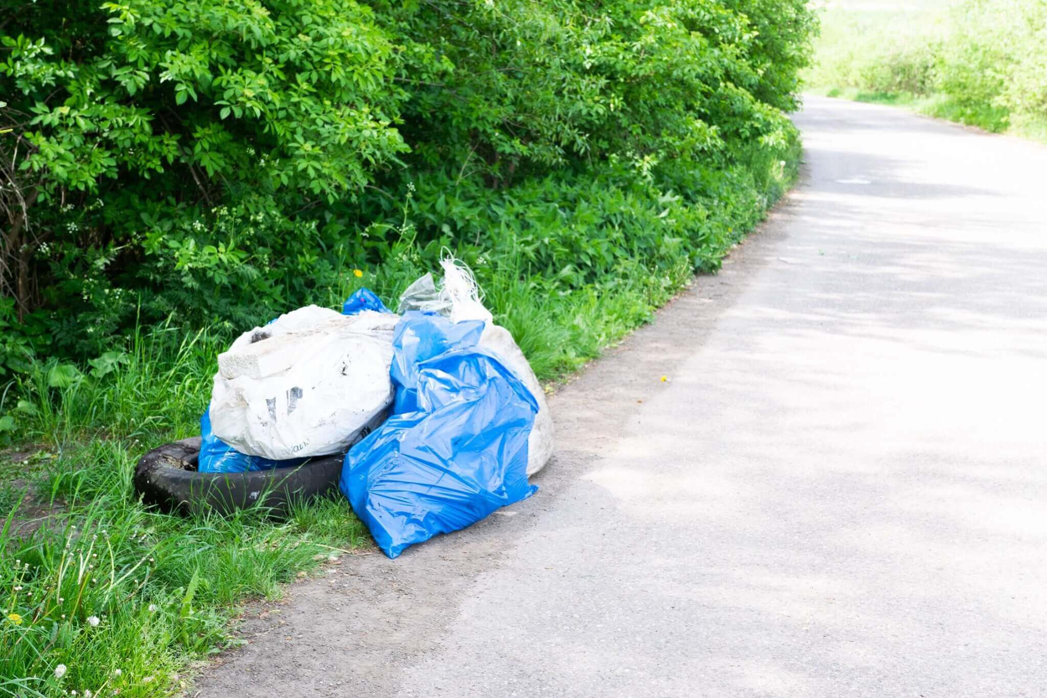 Collected litter in plastic bags Fanete Seculare Ponoare