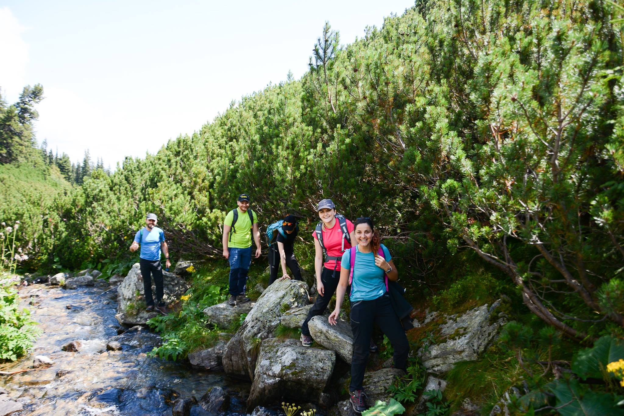 Hiking Day with the ASSIST Software team in the  Rodnei Mountains 
