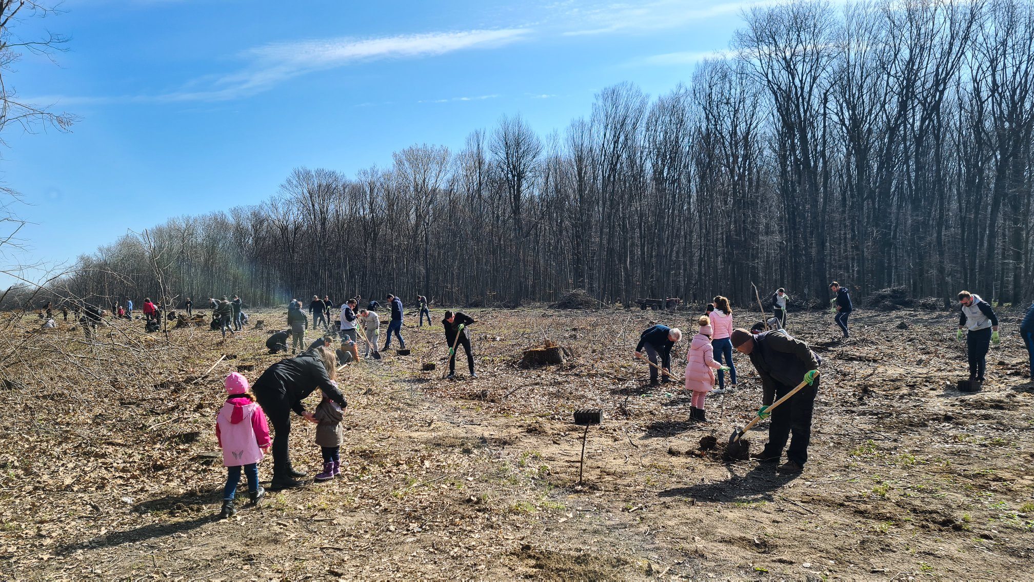 ASSIST Software team planting trees in Adancata