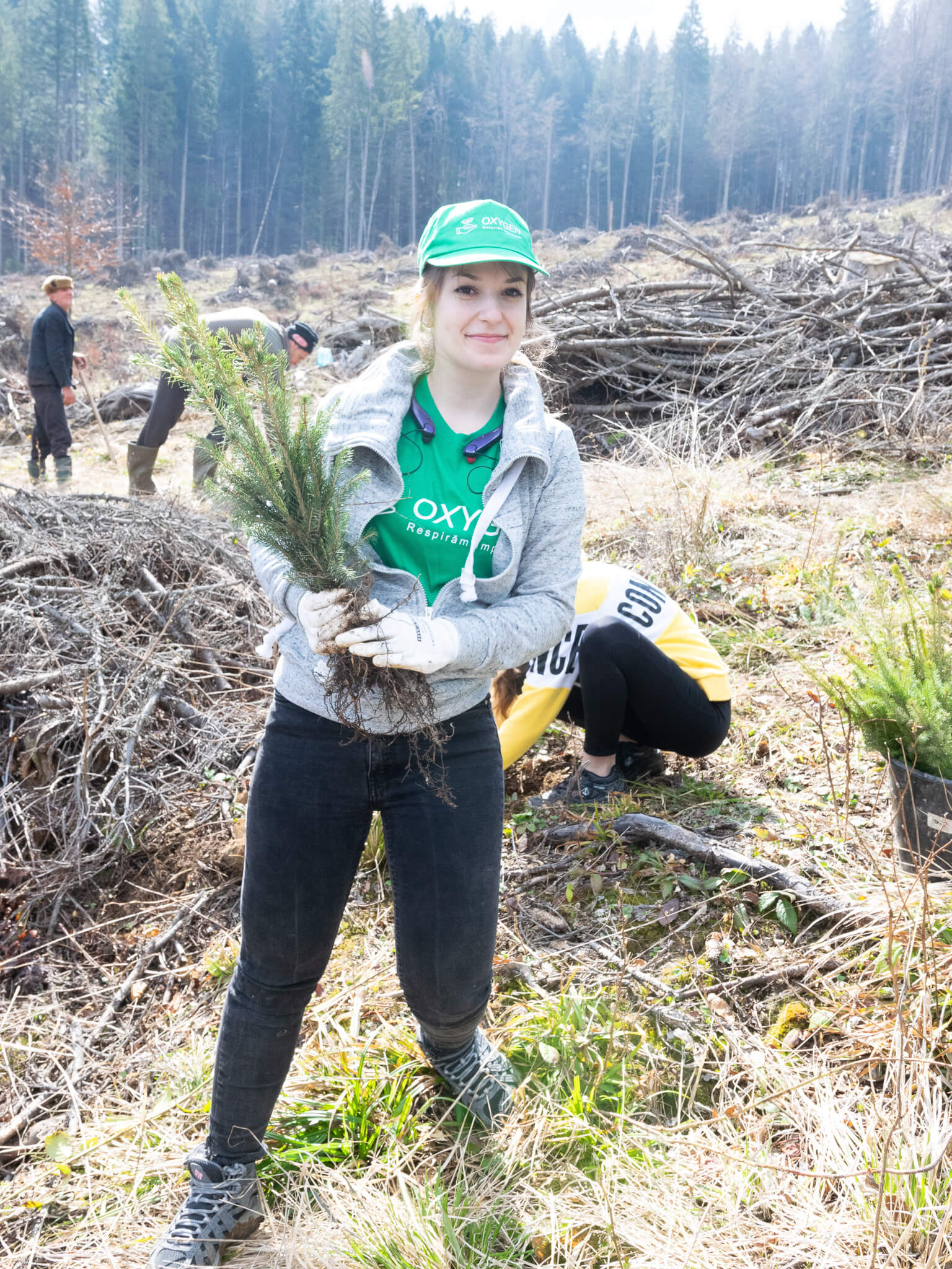 ASSIST Software volunteers at reforestation event in Moldovita