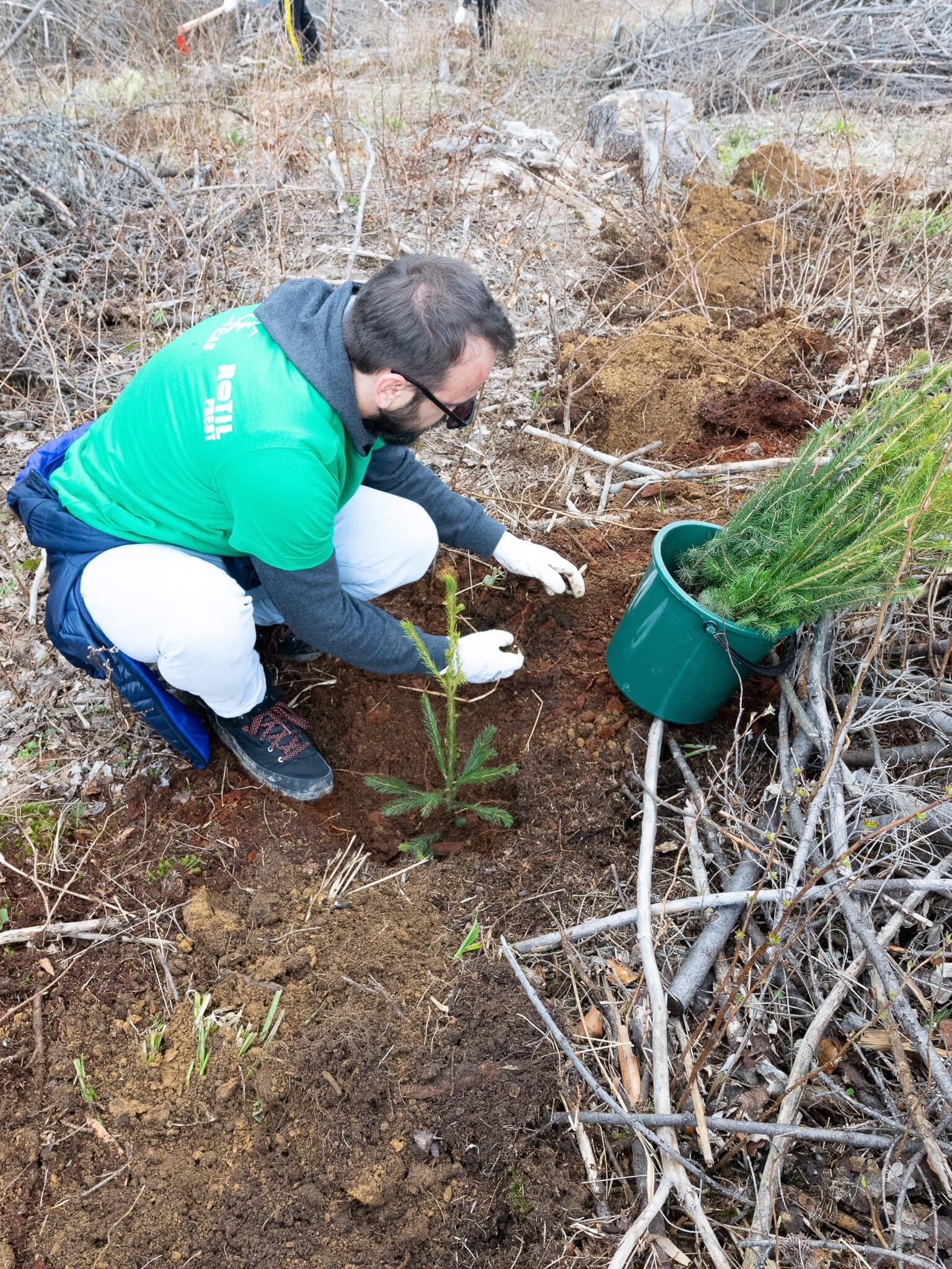 ASSIST Software volunteers raising awareness about the importance of protecting our forests.