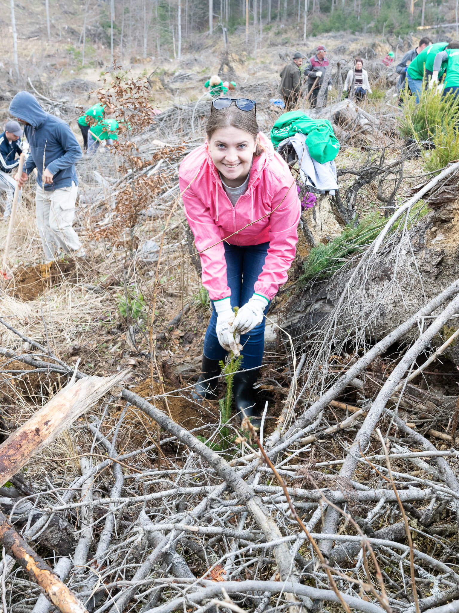 ASSIST Software volunteers working hard side by side planting trees in order to contribute to the reforestation efforts in the area
