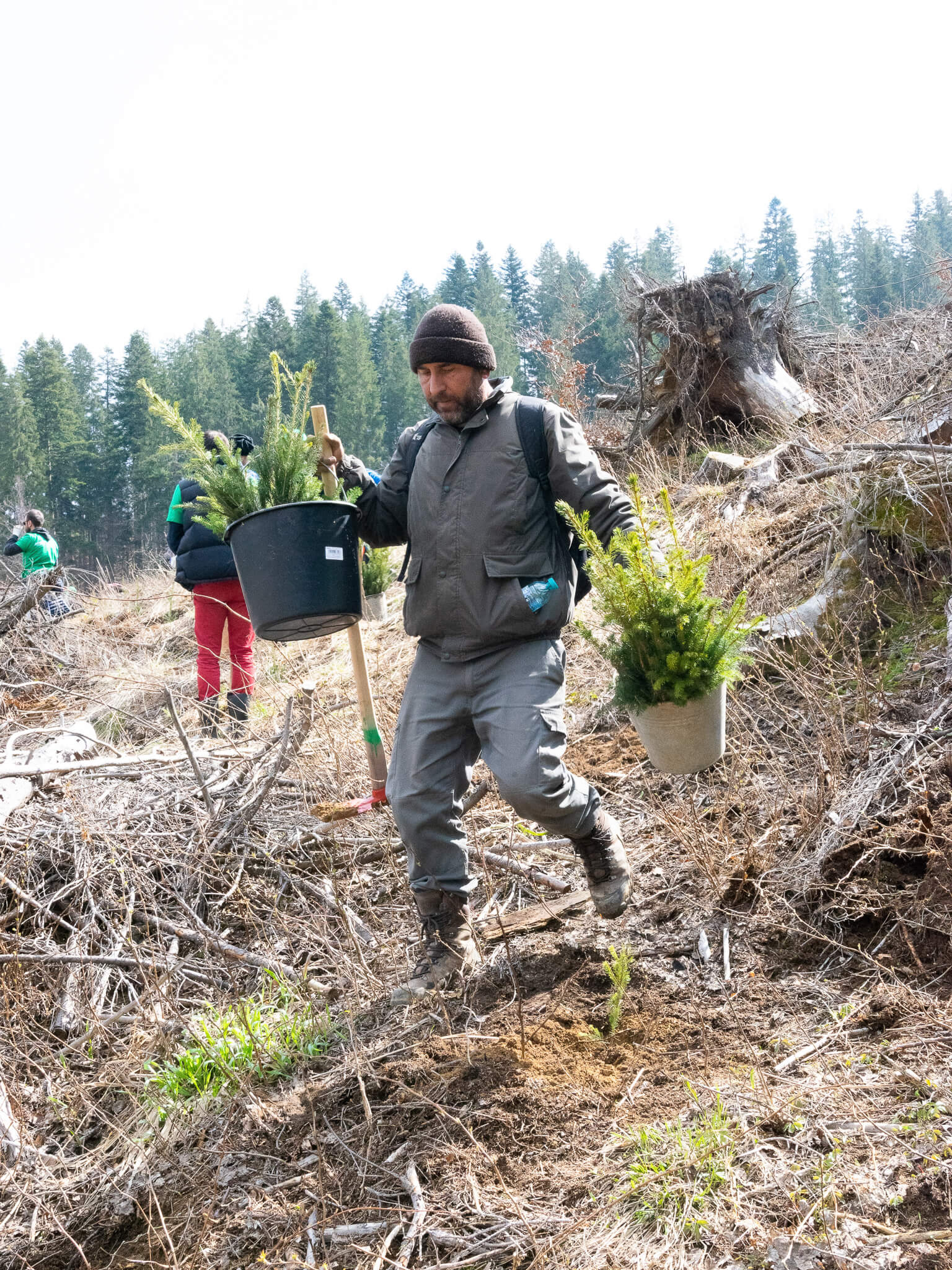 ASSIST Software volunteers planting trees in Moldovita