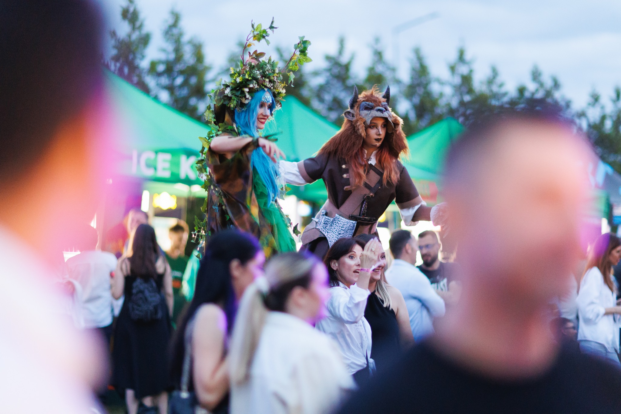 Deep_In_The_Forest_Chapter_V_Treasure_of_Fairy_Tales_ASSIST_Software_Suceava__4