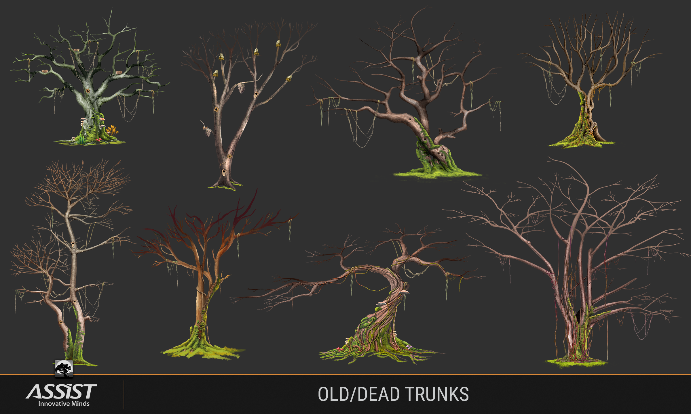 old or dead trunks