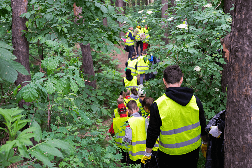 Walking in Zamca Forest
