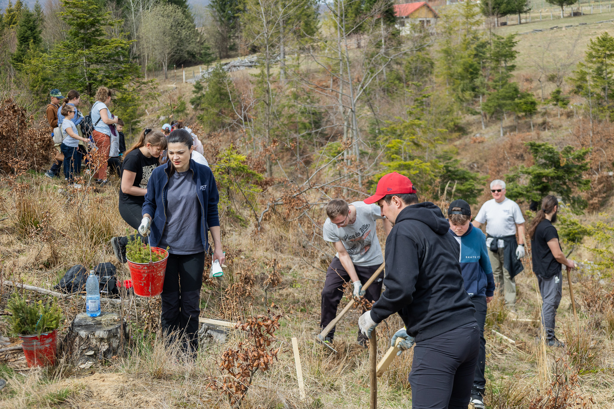 ASSIST Software Reforestation 2024