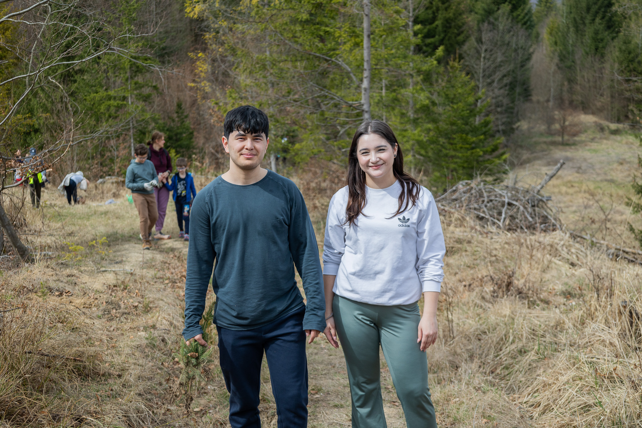 ASSIST Software Reforestation 2024