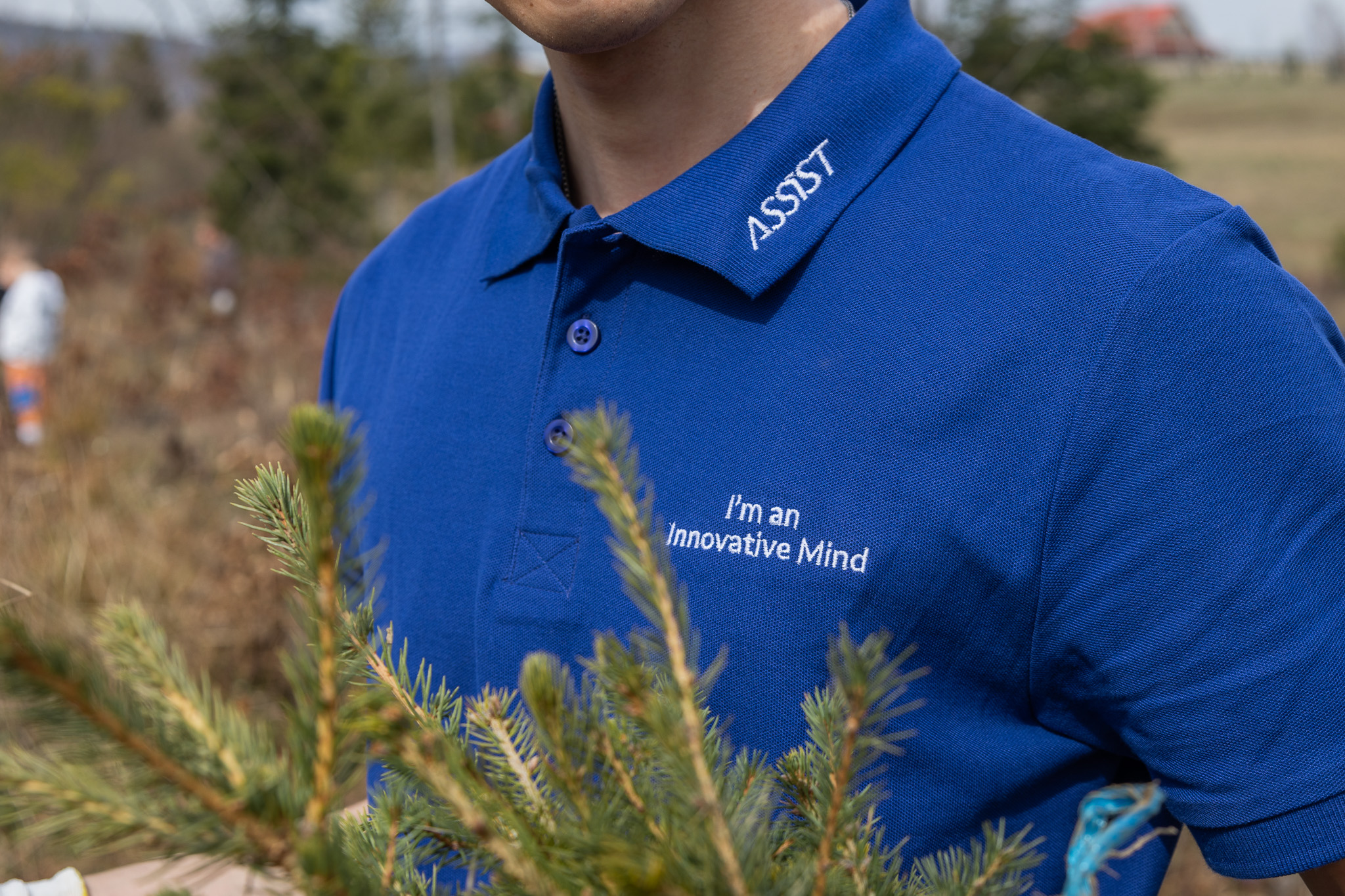 ASSIST Software Reforestation 2024