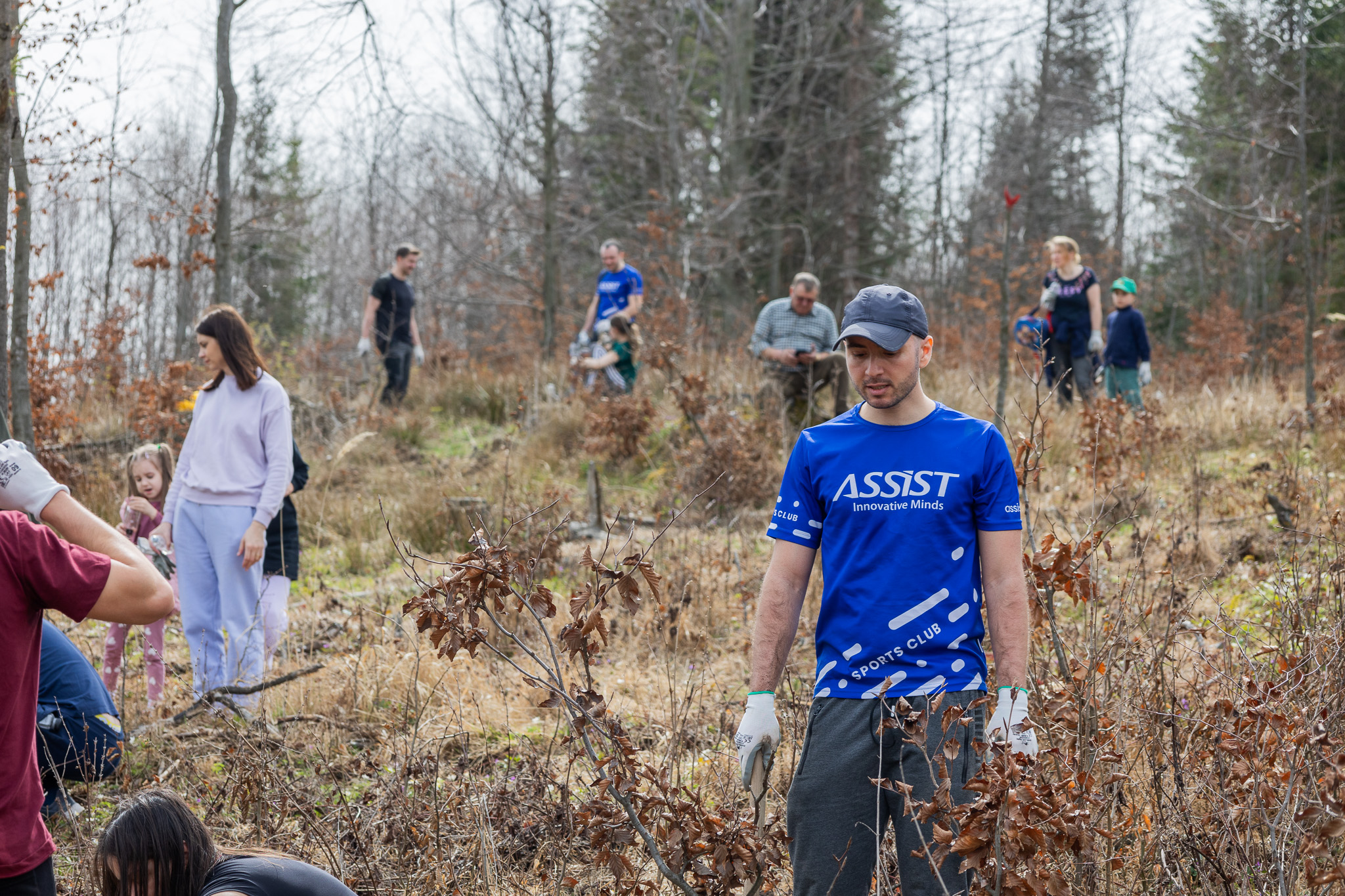 ASSIST Software Reforestation 2024