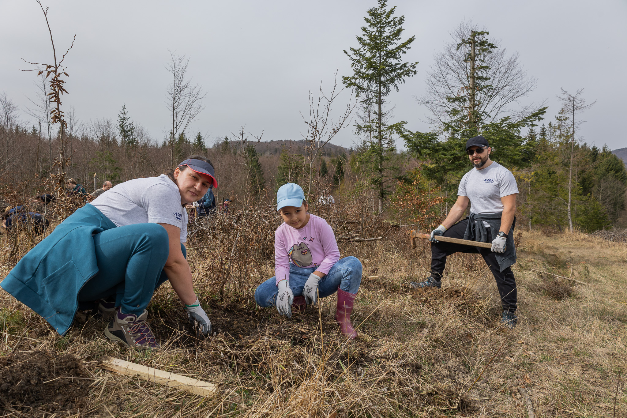ASSIST Software Reforestation 2024
