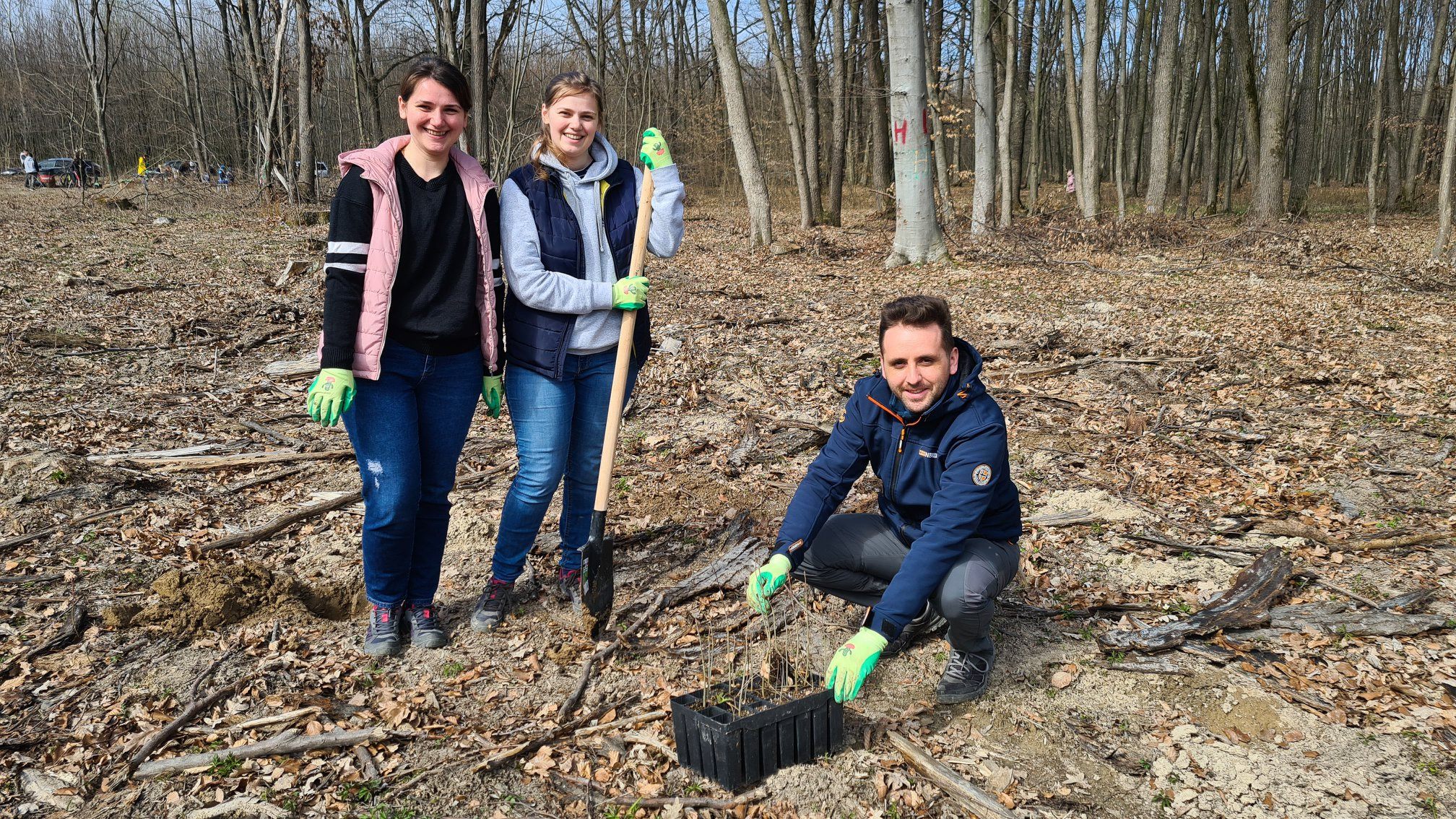 Our colleagues planting trees