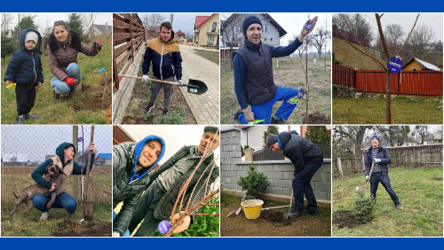 Tree Planting Challenge organized by ASSIST Software - promoted picture