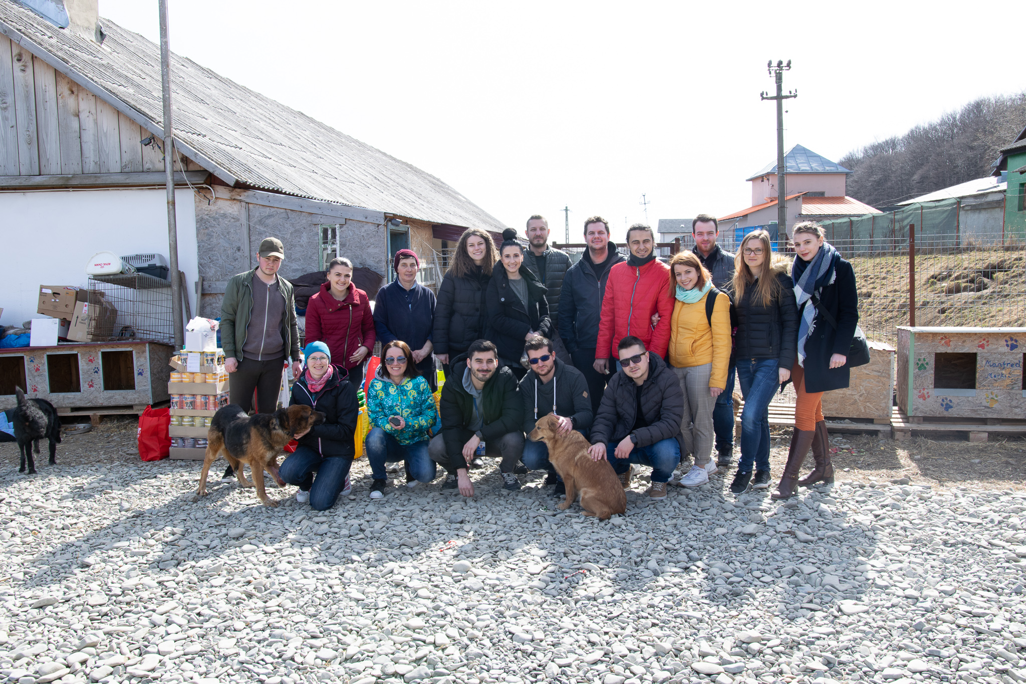 ASSIST Software volunteers at "Casa lui Patrocle" Animal Rescue Shelter