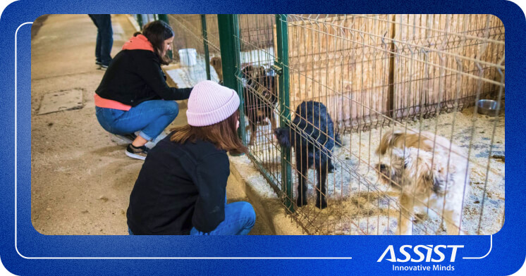 ASSIST Software donates to animal rescue shelter