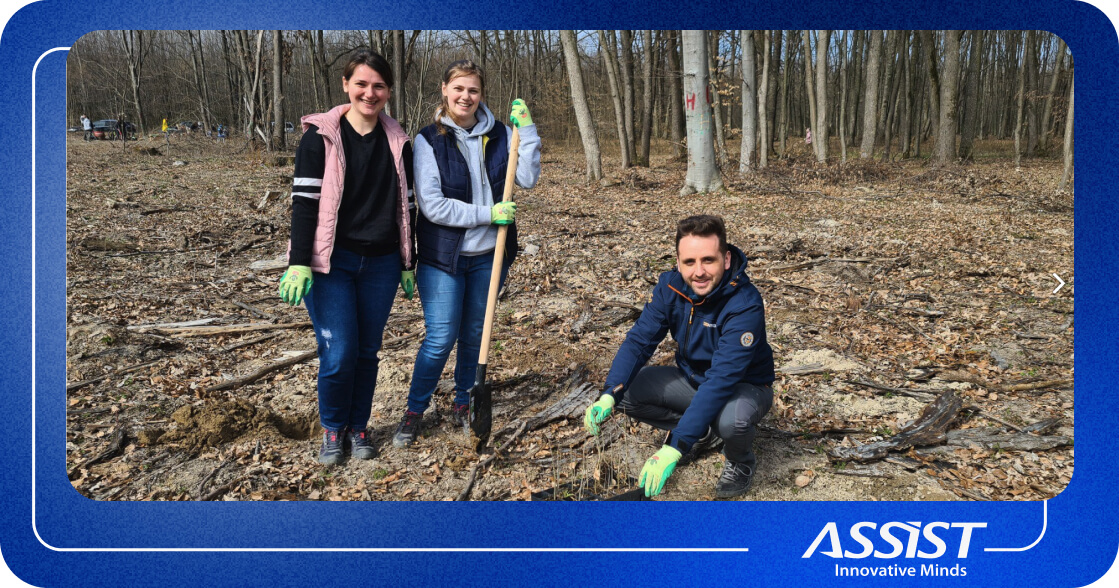 Our colleagues planting trees 