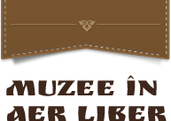 Muzee in aer liber logo