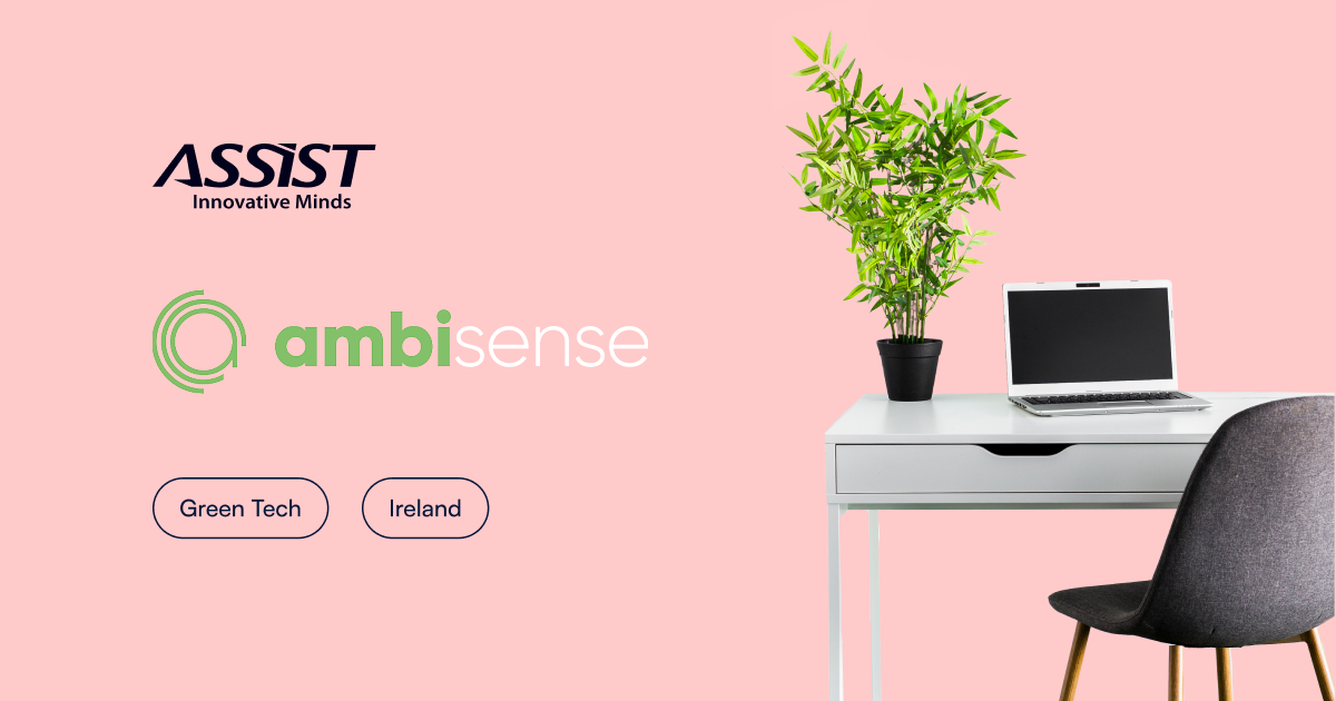 OG ambisense