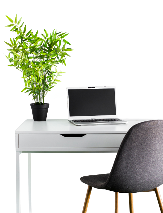 Computer on a desk with a green plant next to it