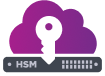 HSM logo